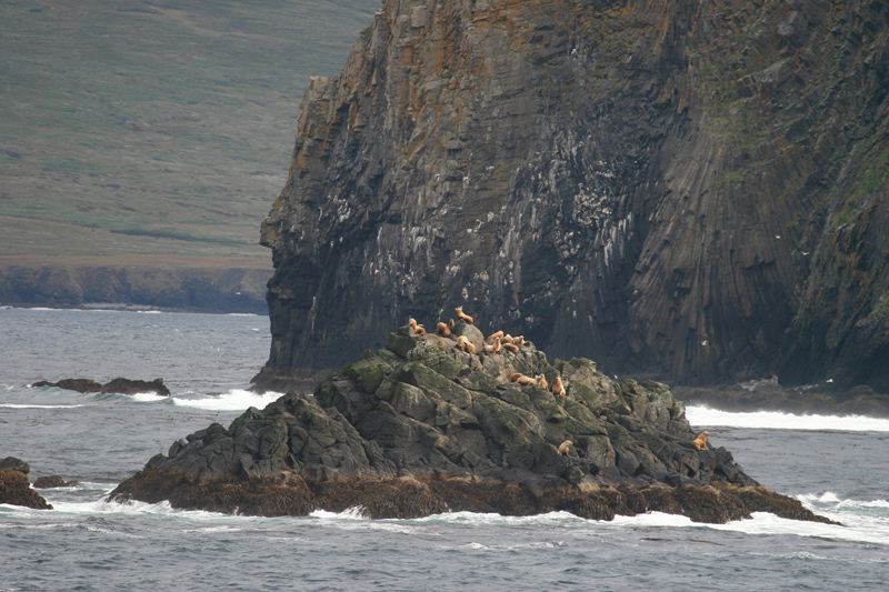 060910_seal_rocks