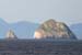 060910_bird_colonies_a