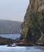 060911_alleutian_alcid0024