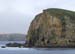 060911_alleutian_alcid0025