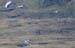 060920_attu_c130_crash