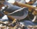 crop_mistery_stint_san0102