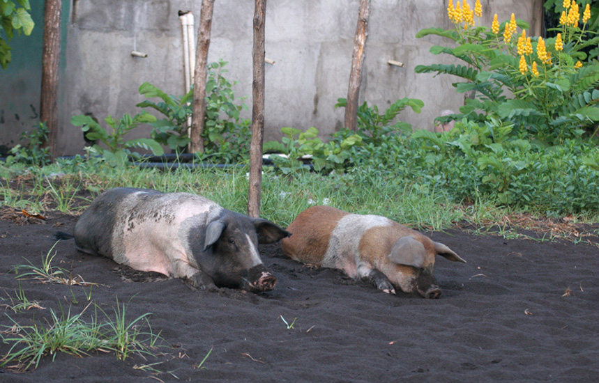 descansando_en_la_play0005