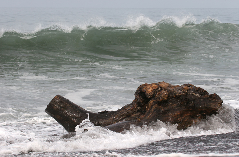 madera_y_mar_070707