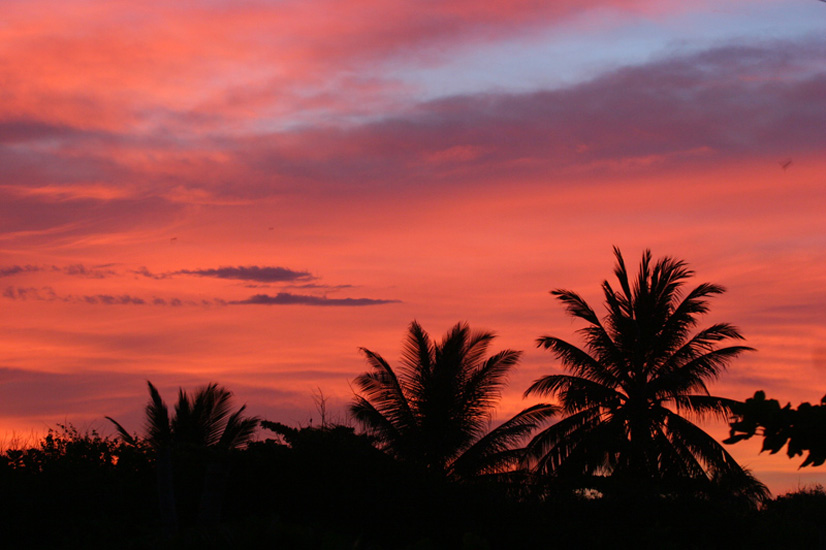 monterrico_amaneser_070707