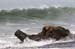 madera_y_mar_070707
